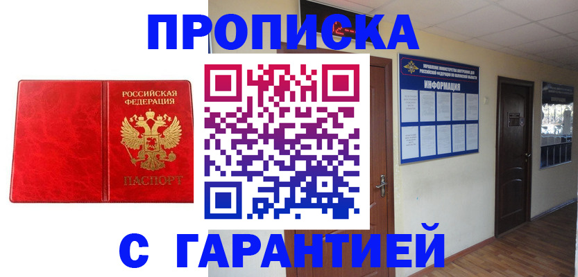 прописка для школы в Кудрово
